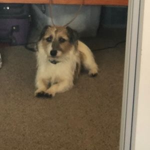 Meet your Posher, Lily